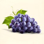 Grape