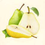 Pear