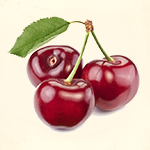 Cherry